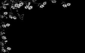 We did not find results for: White Floral Pattern Wallpaper Vector And Designs Wallpaper Better