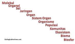 Pengertian, struktur, ciri, sifat fisiko, klasifikasi, sifat, analisis, fungsi. Yuthp Apa Itu Protein Fungsional Apa Itu Asid Amino Jom Vitamin Apa Itu Jabatan Fungsional Tertentu