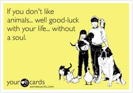 If You Don T Like Animals Well Good Luck With Your Life Without A Soul Like Animals Ecards Funny Crazy Dog Lady