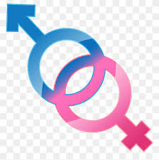 Ternyata simbol ini telah digunakan di masa lampau yang dapat ditemukan pada peninggalan prasejarah seperti hieroglif. Simbol Gender Tanda Perempuan Tanda Pria Dan Wanita Liburan Teks Angka Png Pngwing