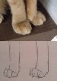 See more ideas about warrior cats warrior warrior cats art. How To Draw Warrior Cats Tutorial Warriors Amino