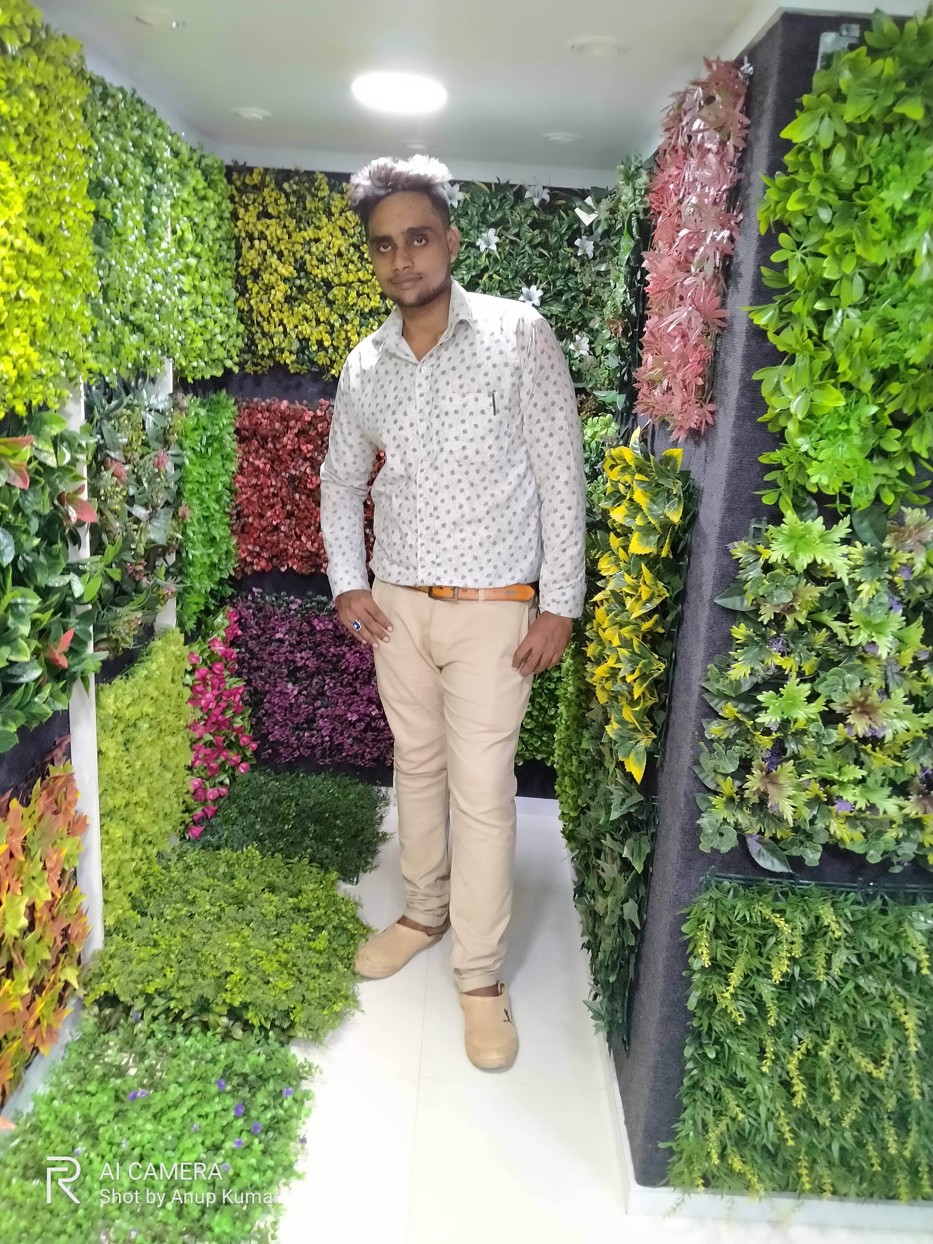 Green wall product image
