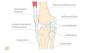 Kreuzbandriss Sypmtome Ursachen Behandlung Onmeda De