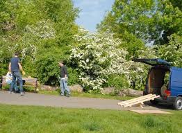 Urushi Lacquered Stool Green Woodworking How To Make Trees Trunk Furniture