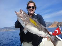 Antalya Balik Avi Balikcilik Balik Antalya