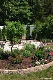 We did not find results for: Limelight Hydrangea Tree Care And Pruning Garden Sanity By Pet Scribbles