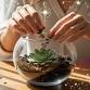 Make & Mingle: A Women’s Terrarium Social Viera event image
