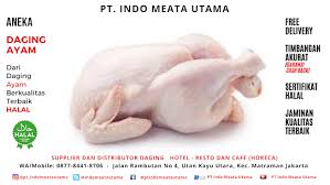Pin Di Daging Ayam Fresh Chicken Pt Indo Meata Utama