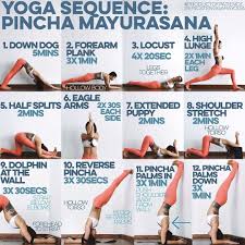 797 Likes 20 Comments Erica Tenggara Yoga Ericatenggarayoga On Instagram Yoga Sequence Pincha Yoga Sequences Easy Yoga Workouts Erica Tenggara Yoga