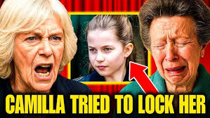 Purina's Rally to Rescue