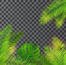 Beautiful Green Tropical Forest Plant Leaves Flower Plant Clipart Seamless Monstera Png And Vector With Transparent Background For Free Download Forest Plants Plant Leaves Forest Flowers
