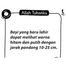 Jadi ibu tak perlu khawatir jika bayi ibu mengalaminya, karena milia akan. Buku Pertamaku Buku Bayi Buku Anak Islam High Contrast Book Hitam Putih Allah Tuhanku Shopee Indonesia