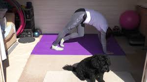 Sun Salutation supple strength sequence - Swimming.org