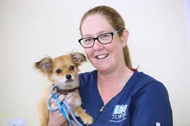 We're delighted to welcome back vet Amy Beckett to Tower Vets. Amy  previously worked for us for five years until 2012, before leaving to work  in Scotland and the Isle of Man.