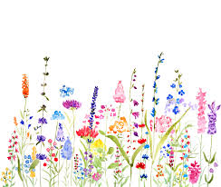 Colorful Wildflower Fields Watercolor Art Print By Color And Color X Small Watercolor Flowers Paintings Wildflower Drawing Doodle Art Flowers We have a huge range of illustrations products hello, happy to introduce to you this beautiful and elegant collection of wildflowers ''wildflowers field''.all. colorful wildflower fields watercolor