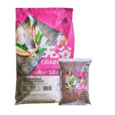 We did not find results for: Kitchen Flavor Produk Makanan Kucing Anjing Terbaik Blibli Com