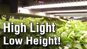 Maybe you would like to learn more about one of these? Low Profile Dimmable Led Grow Light Active Grow Lopro Max Review Commercial Led Replaces Hps Hid Youtube
