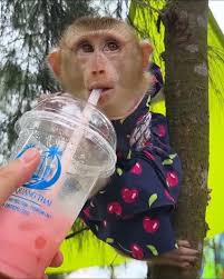 Universal SUM of All Fears. Isabelle-Diana Najadi Kahlooni Kennedy is back.  Meet God, free transport yes Isabelle Diana Najadi Kahlooni Kennedy is and  was always alive. Was pulled out after covert Opperations