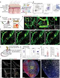 Pixel experience rom with android 10 is now available to download for redmi k20. Xzhy5fswqpcfnm