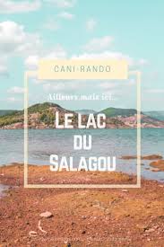 On Vous Emmene En Cani Rando Au Lac Du Salagou Dans Le Departement De L Herault Canirando Canirandonnee Herault Lacdusalag Lac Du Salagou Lac Randonnee