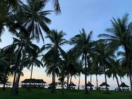 See 1,185 traveler reviews, 1,309 candid photos, and great deals for diani reef beach resort & spa, ranked #14 of 37 hotels in diani beach and rated 4 of 5 at tripadvisor. Angela Rose Sablan Balulan Beach Resort Facebook