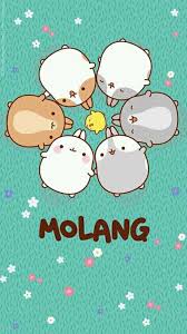 Maybe you would like to learn more about one of these? Molang And Piu Piu Home Facebook