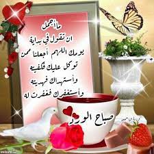 كل صباح وأنتم في حفظ الرحمن صباح الورد beautiful nature wallpaper nature wallpaper beautiful gif