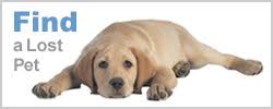 Coles county animal shelter is an accommodation in illinois. Animal Services