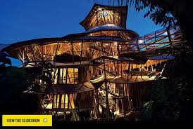 Global Urban Design A Tree House In Bali New York Magazine Nymag Bamboo Architecture Bamboo Building Tree House
