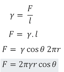 Kemudian kawat ini dicelupkan dalam lapisan sabun dan diangkat vertikal sehingga terbentang satu lapisan sabun. Tegangan Permukaan Meniskus Dan Kapilaritas