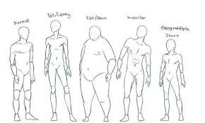 The male reproductive system a profile of body system howstuffworks. Male Full Body Sketch Images Pictures Becuo Body Man Anatomy Guy Drawing Body Sketches Drawing People