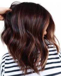 You can also mix in some other reddish brown hues for an even more textured look. 50 Astonishing Chocolate Brown Hair Ideas For 2021 Hair Adviser