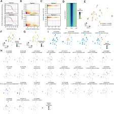 Sebagai contoh, pencapaian calon spm 2018 adalah lebih baik dari tahun 2017 dengan indeks pencapaian gred. A Cis Regulatory Atlas In Maize At Single Cell Resolution Biorxiv