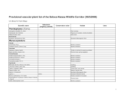 Image result for Dielsiothamnus divaricatus