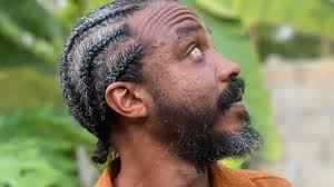 A cat in front of the silence room