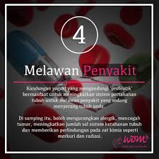 Manfaat Yoghurt Untuk Kesehatan Wom My Yogurt Probiotik Kesehatan