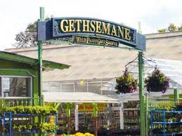 Gethsemane Garden Center Garden Center Amazing Gardens Cool Plants