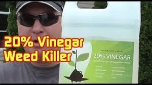 Vinegar is an aqueous solution of acetic acid and trace chemicals that may include flavorings. 30 Vinegar Lowes 07 2021