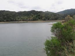 Stevens creek reservoir is an artificial lake located in the foothills of the santa cruz mountains near cupertino, california. Stevens Creek County Park Cupertino 2021 All You Need To Know Before You Go With Photos Tripadvisor