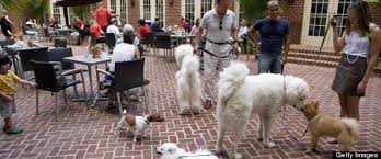 Pet parents wish to bring their dogs along for the fun, both to ease the dog's anxieties about are you interested in finding a dog friendly restaurant near you? Dog Friendly Restaurants In Gwinnett County