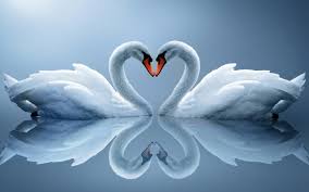 Image result for love picture