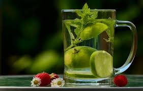 Infused water jahe dan lemon untuk mencegah mual saat dalam perjalanan. 4 Cara Membuat Infused Water Mudah Dan Praktis Tokopedia Blog