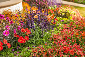 Perennials stage a reliable show every year without heavy duty input, and sunny spots can host a wide array of plants. Right Plant Right Place Proven Winners