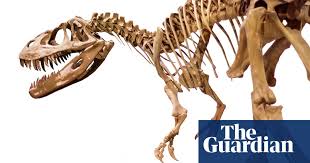 Plus your entire music library on all your devices. T Rex Traders Should The Sale Of Dinosaur Bones Be Stopped Dinosaurs The Guardian