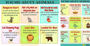 Animal Idioms 165 Useful Animal Idioms From A Z 7 E S L Idioms And Phrases Idioms English Idioms