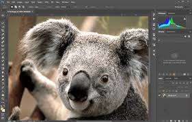 Photoshop Basic Image Manipulation Basic Editing Images Research Guides At Case Western Reserve University Only the import process differs when importing a video, the rest of the steps remain the same. photoshop basic image manipulation