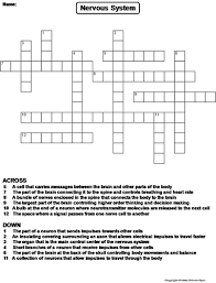 We did not find results for: Nervous System Crossword Puzzle Teaching Resources