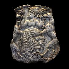 Image result for 11601"
