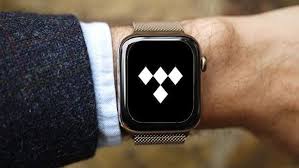 How To Listen To Tidal On Apple Watch In 2020 Apple Watch Apple Tidal