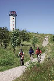 Mountainbiken Am Rennsteig Thuringer Wald Deutschland Thuringia Germany Hiking